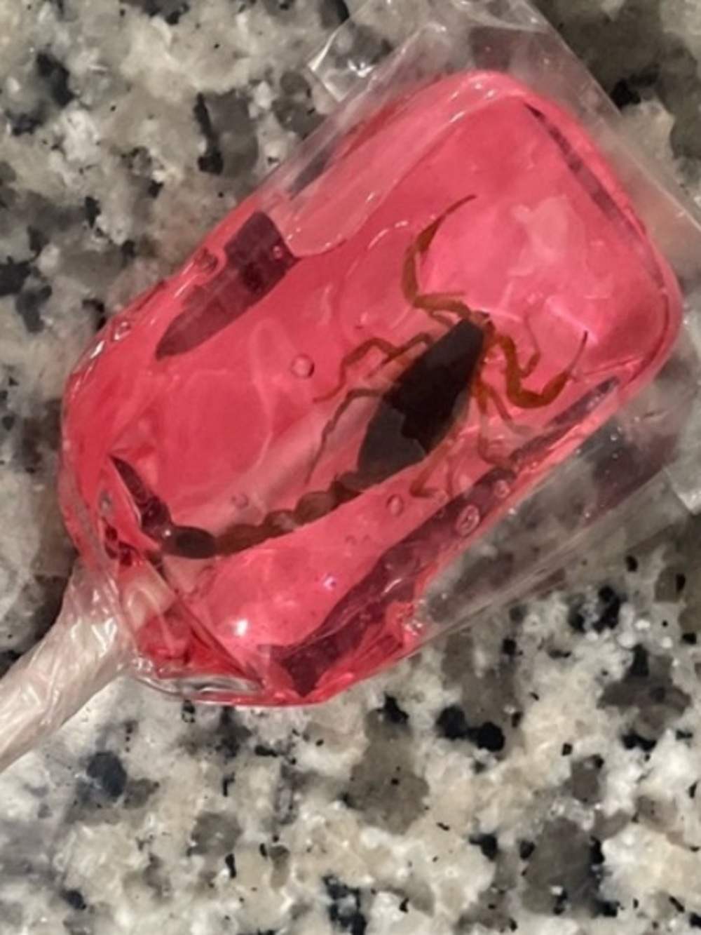 *Expired Decor Item - Strawberry  Scorpion Lollipop with Real Scorpion*